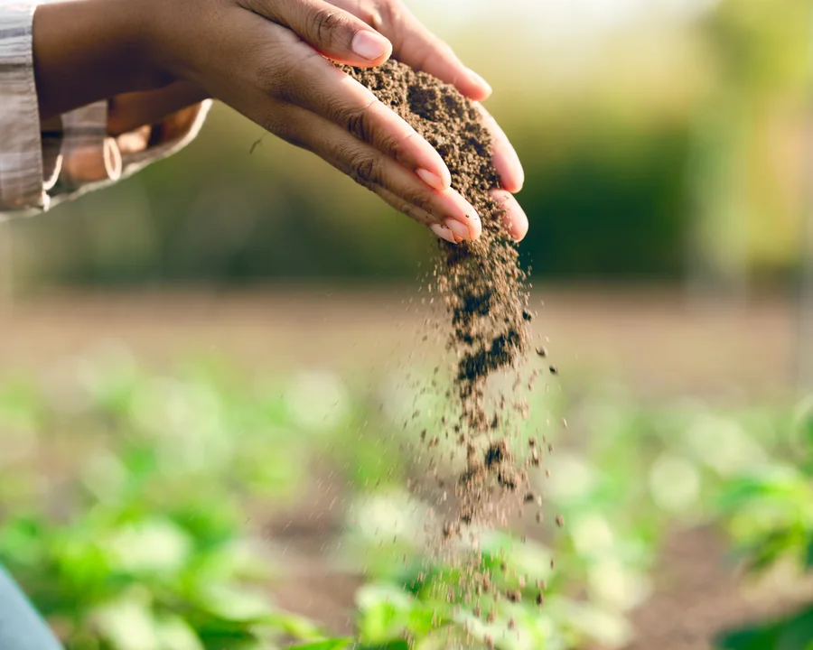 Agriculture field data view